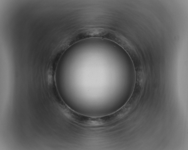 X0000111120510200906301313