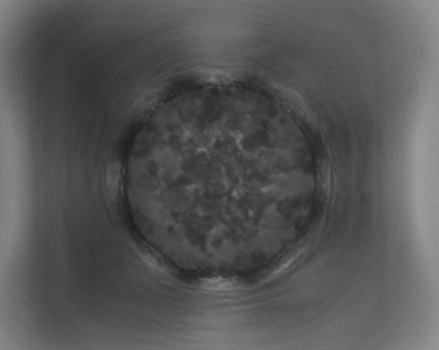 X0000111120511200906301313