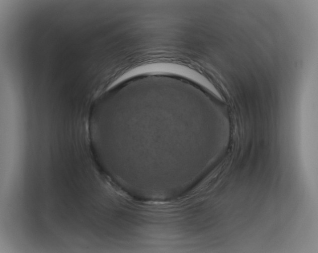 X0000111120512200906301313