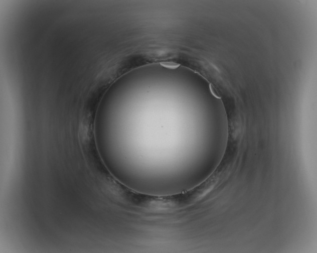 X0000111120515200906301313