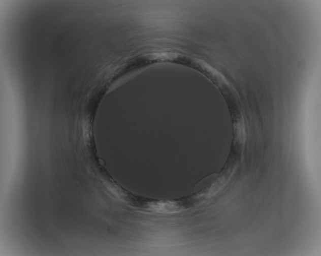 X0000111120517200906301313