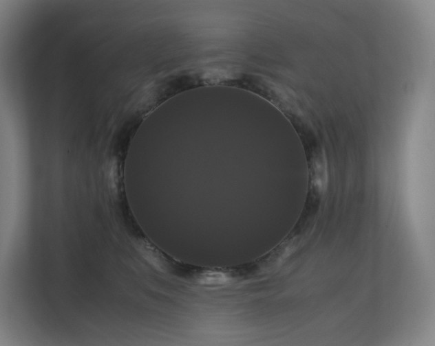 X0000111120519200906301313