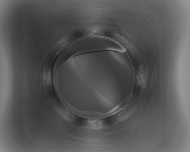 X0000111120520200906301313