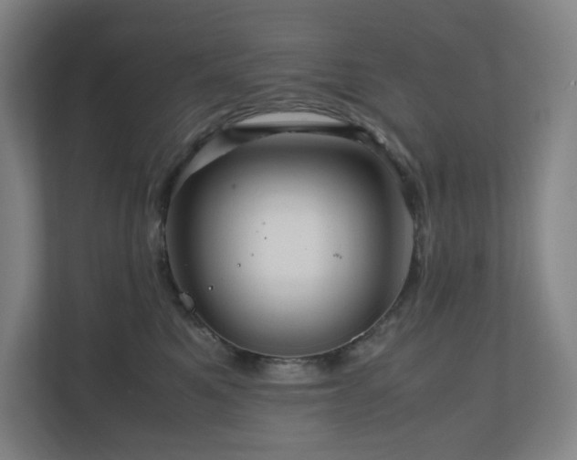 X0000111120521200906301313