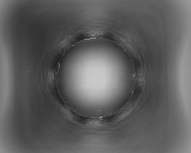 X0000111120523200906301313