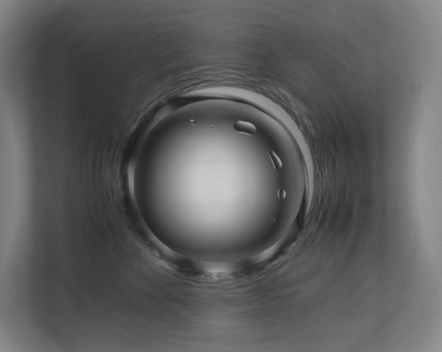 X0000111120524200906301313