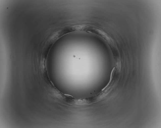 X0000111120525200906301313