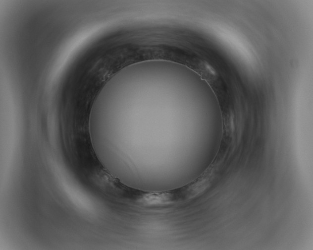 X0000111120526200906301313