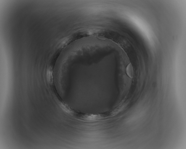 X0000111120527200906301313