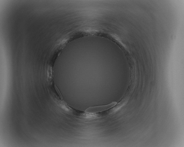 X0000111120528200906301313