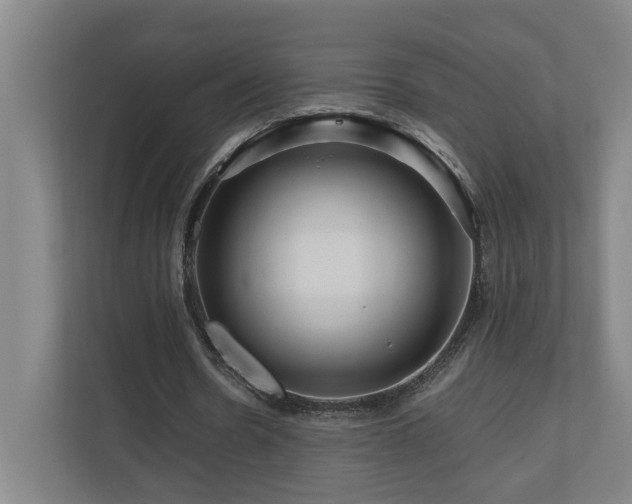 X0000111120530200906301312