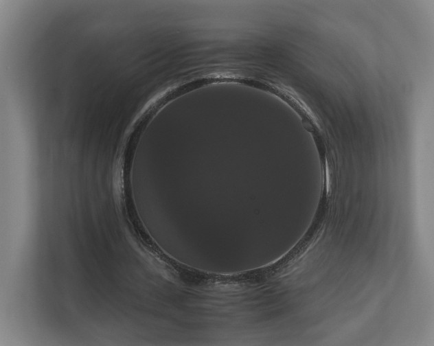 X0000111120531200906301312