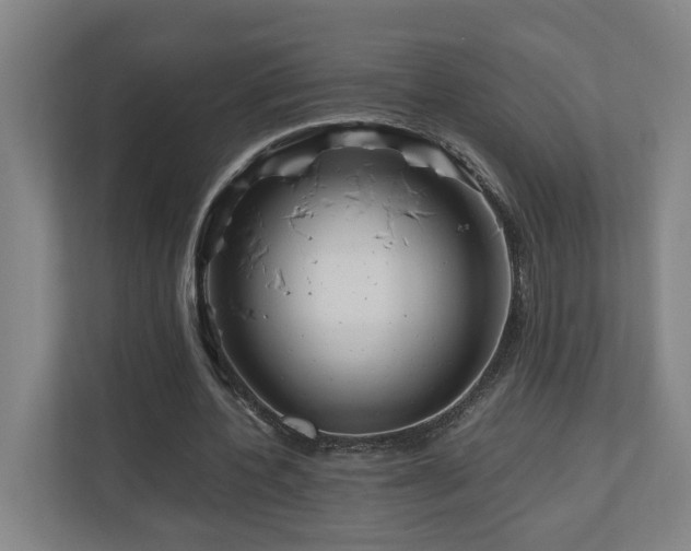 X0000111120532200906301312