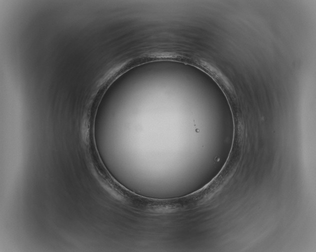 X0000111120533200906301312