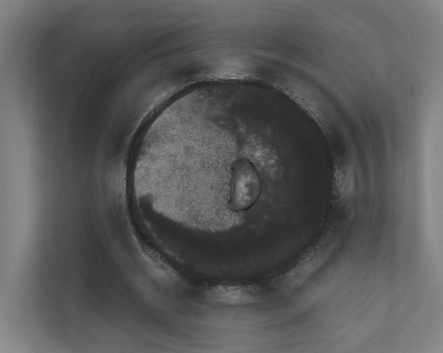 X0000111120534200906301312