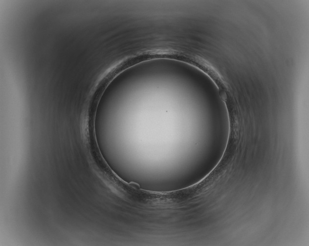 X0000111120535200906301312