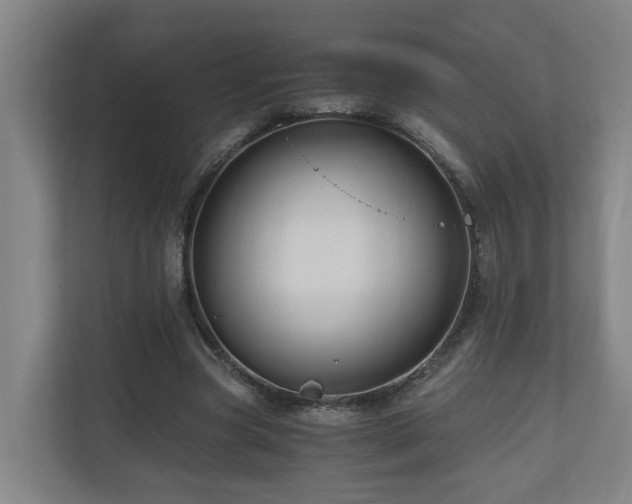 X0000111120537200906301312