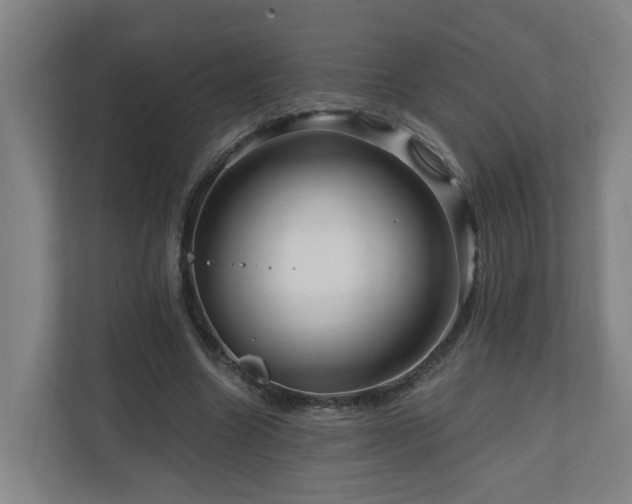 X0000111120538200906301312