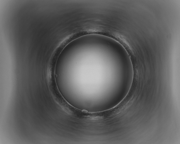 X0000111120539200906301312