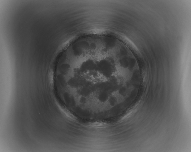 X0000111120542200906301313