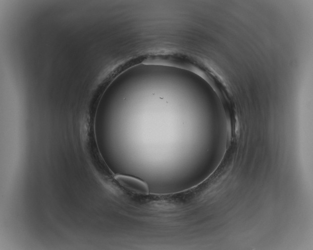 X0000111120544200906301313