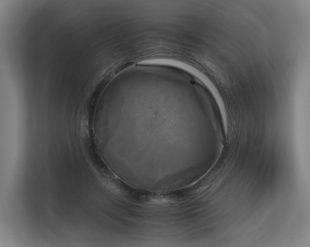 X0000111120547200906301313