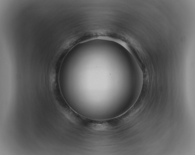 X0000111120548200906301313