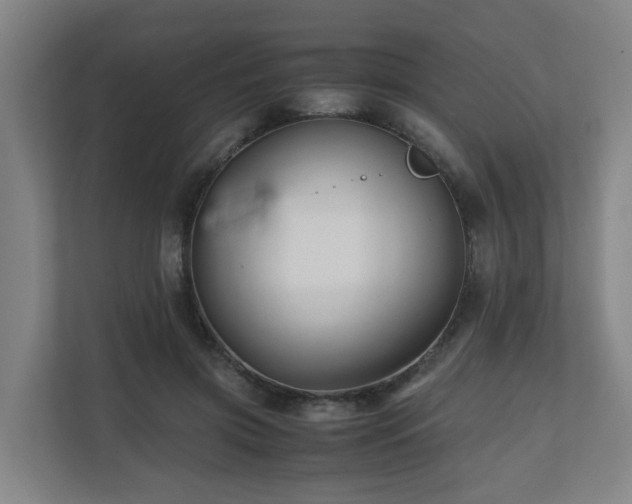 X0000111120549200906301313