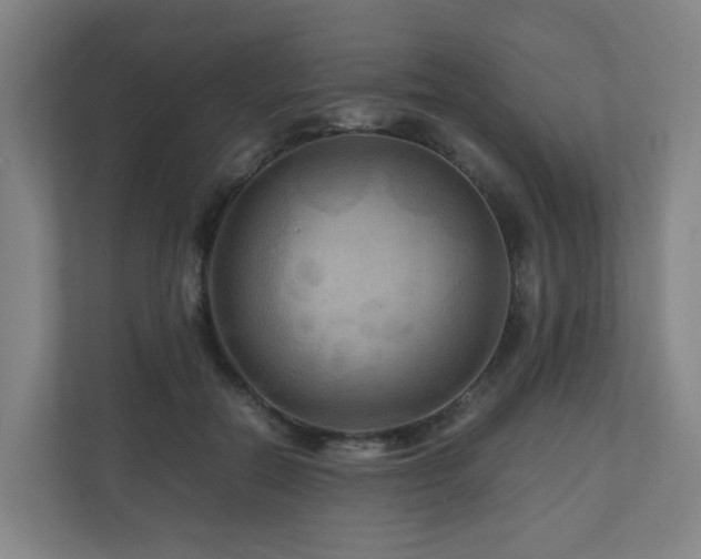 X0000111120554200906301313