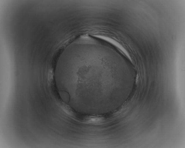 X0000111120555200906301313