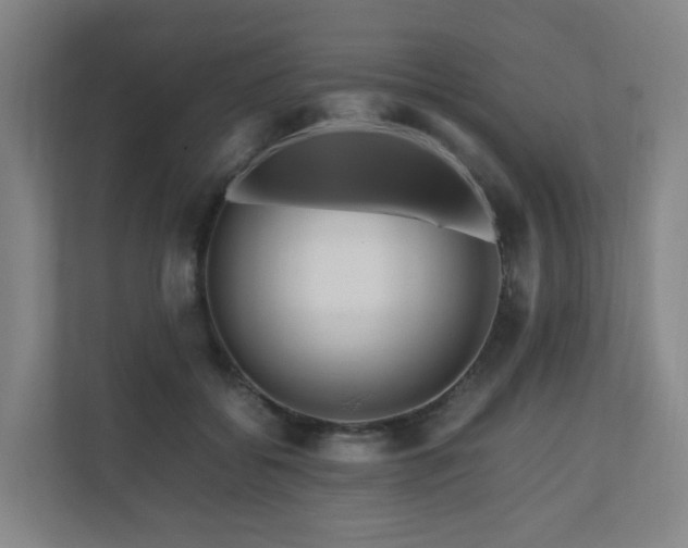 X0000111120556200906301313