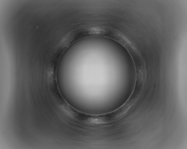 X0000111120557200906301313