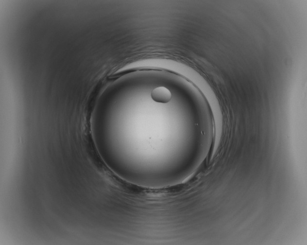 X0000111120560200906301313