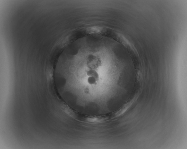 X0000111120561200906301313