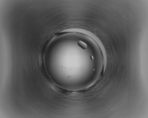 X0000111120562200906301313