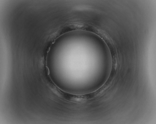 X0000111120563200906301313