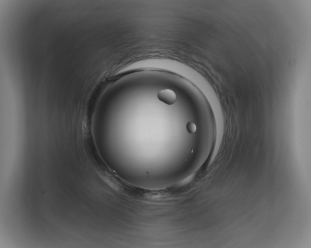 X0000111120564200906301313