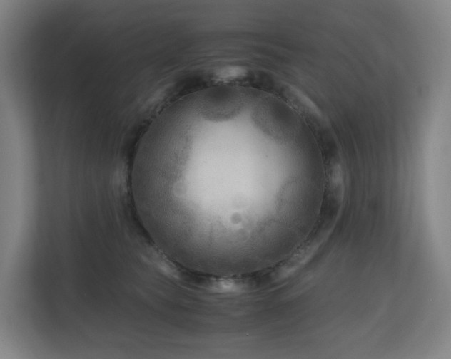 X0000111120565200906301313