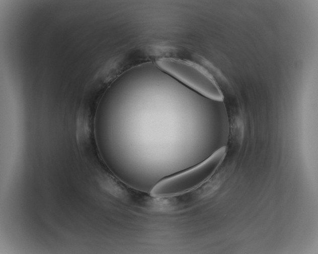 X0000111120566200906301313