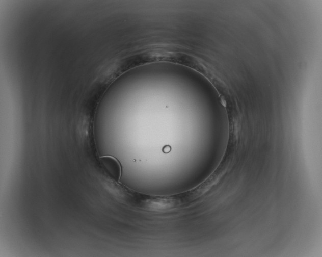 X0000111120567200906301313