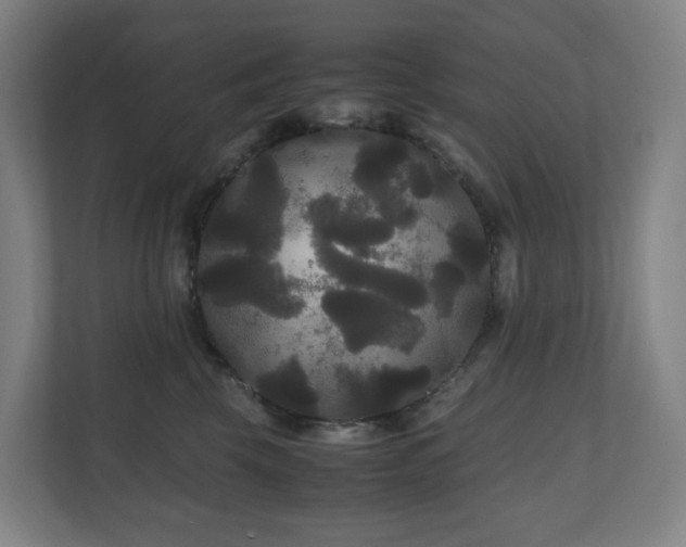 X0000111120569200906301313