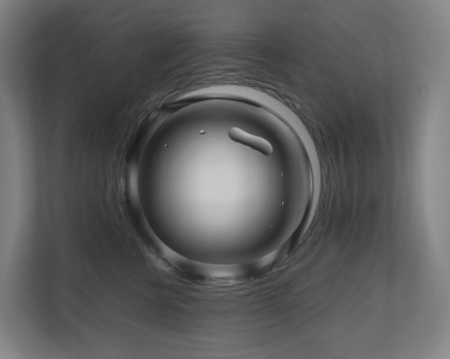 X0000111120570200906301313