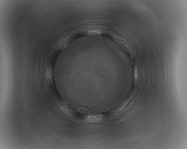 X0000111120571200906301313