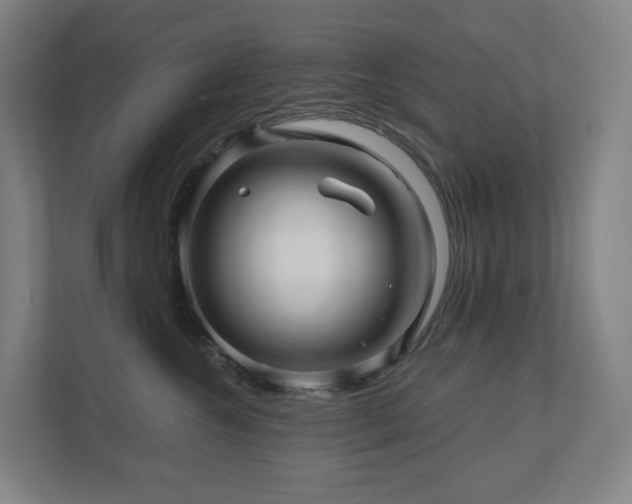 X0000111120572200906301313