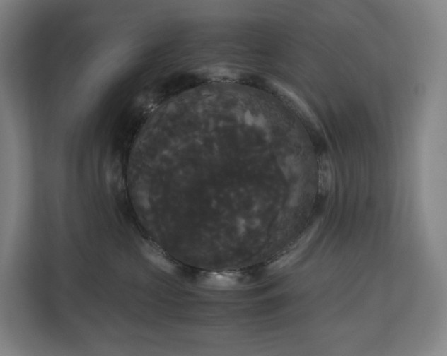 X0000111120573200906301313