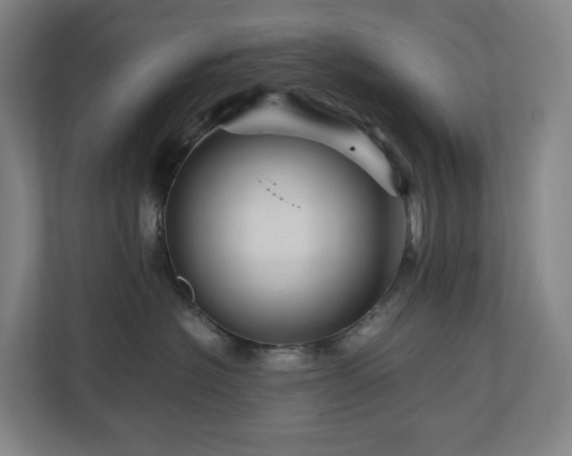 X0000111120574200906301313