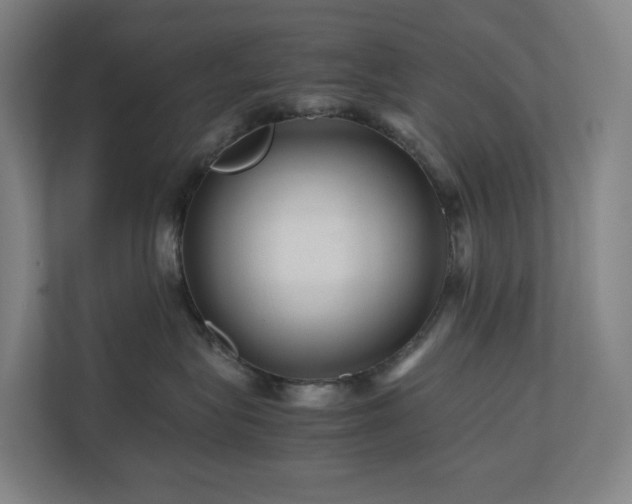 X0000111120575200906301313