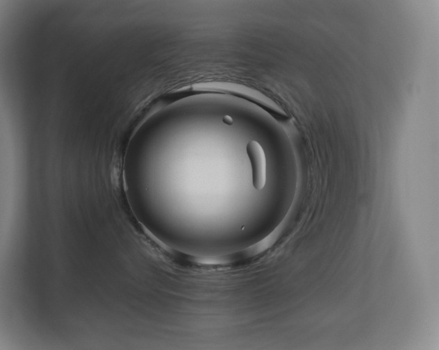 X0000111120576200906301313