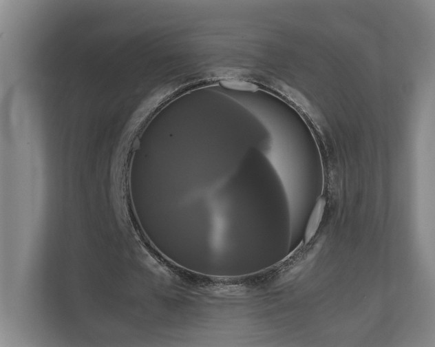 X0000111120577200906301312