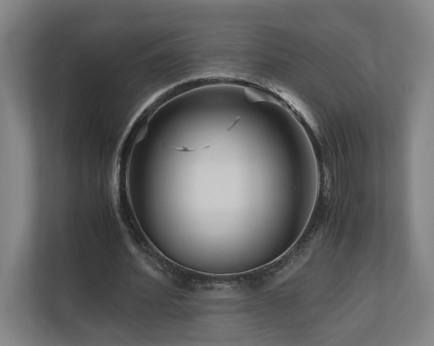 X0000111120580200906301312